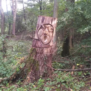 20130915_104240.jpg