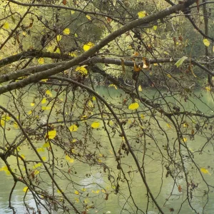 DSCN2772.JPG