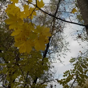 DSCN2777.JPG