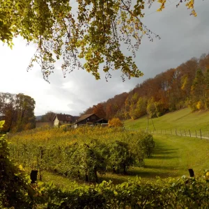 DSCN2835.JPG