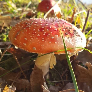 20161112_151121.jpg