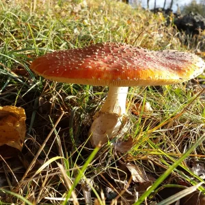 20161112_151150.jpg