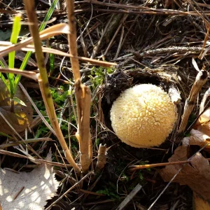 20161112_151214.jpg