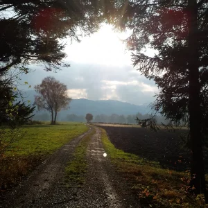 20161112_150839.jpg