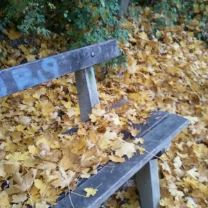 Foto0079.jpg