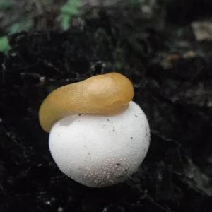 DSCF5888.JPG