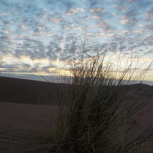 DSCN0174.JPG