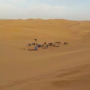 DSCN0170.JPG