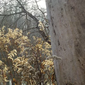 DSCN3048.JPG
