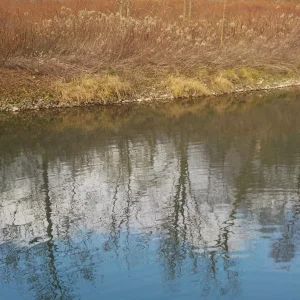 DSCN3105.JPG