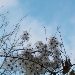 DSCN3100.JPG