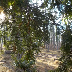 DSCN3127.JPG