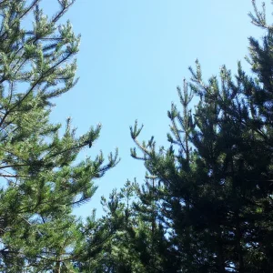 20160828_121352_resize.jpg