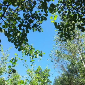 20160828_120238_resize.jpg