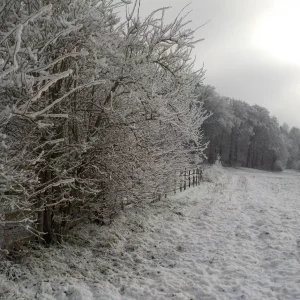 DSCN3179.JPG