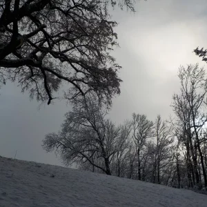DSCN3187.JPG