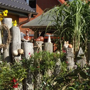 DSCF5629.JPG