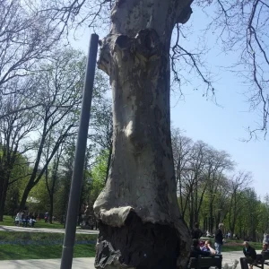 20160402_140003R.jpg