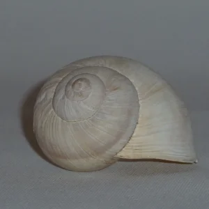 P1010831.JPG