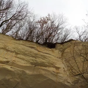 DSCN3238.JPG