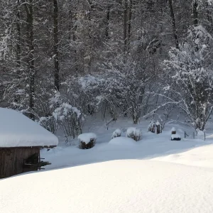 20170116_145639.jpg