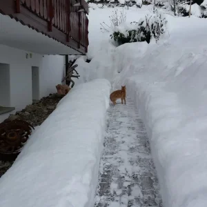 20170116_113552.jpg