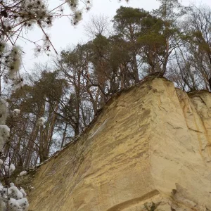 DSCN3235.JPG