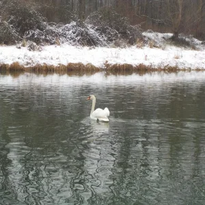 DSCN3361.JPG
