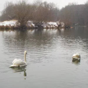 DSCN3360.JPG