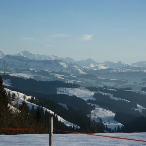 P1010896.JPG