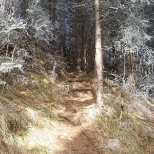 20170213_121605.jpg