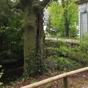 Handy Bilder 097.jpg