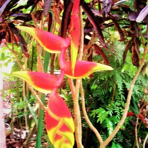 PICT0075.JPG
