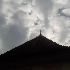DSCN3382.JPG