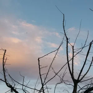 20170219_175007.jpg