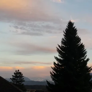20170219_174850.jpg