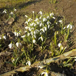 DSCN3409.JPG