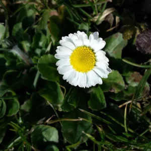 20170227_114347.jpg