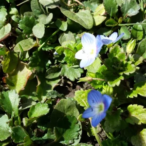 20170227_114722.jpg