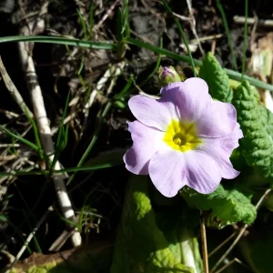 20170227_114917.jpg