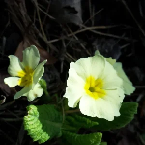 20170227_115006.jpg
