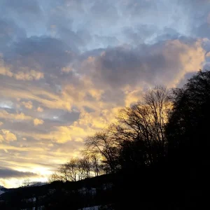 20170201_171006.jpg