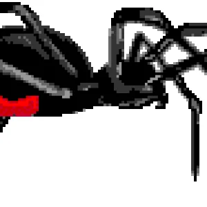 spinne_0116.gif