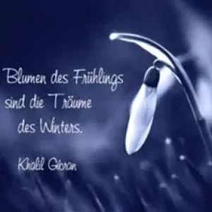 Blumen.jpg