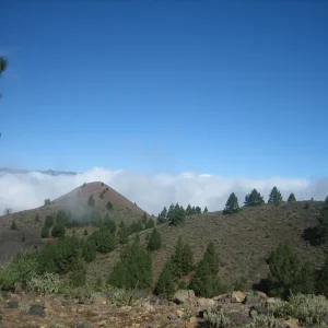 La Palma 060.jpg
