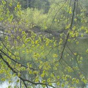 DSCN3554.JPG