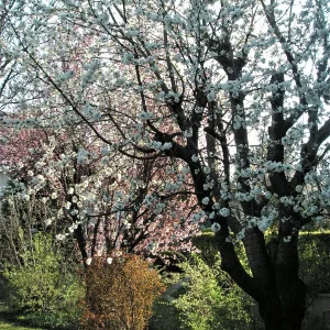 PICT0005.JPG