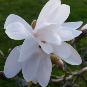 20170316_165611.jpg