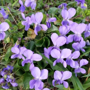 20170314_170440.jpg