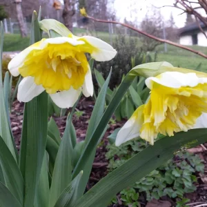 20170314_170729.jpg